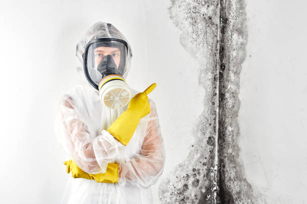 Best Mold Remediation for Healthcare Facilities  in North Hobbs, NM