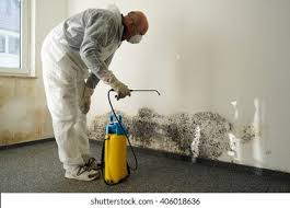 Why You Should Choose Our Mold Remediation Services in North Hobbs, NM